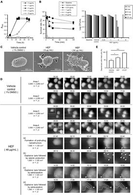 Dual Inhibitory Activity of Petroselinic Acid Enriched in Fennel Against Porphyromonas gingivalis